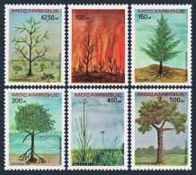 Mozambique 1132-1137,MNH.Michel 1215-1220. Trees & Plants,1990. - Mosambik