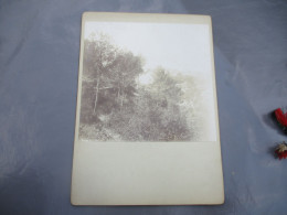 1894 PHOTO SUR CARTON ROUTE SAINTE BEAUNE N D ORGNON - Alte (vor 1900)