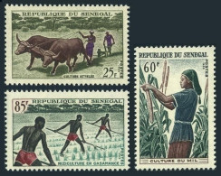 Senegal 250-252, Hinged.Mi 307-309. Agriculture 1965.Ox Team,Millet,Rice Field.  - Senegal (1960-...)