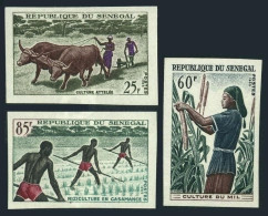 Senegal 250-252 Imperf,MNH.Michel 307B-309B. Agriculture 1965.Ox Team,Millet, - Sénégal (1960-...)