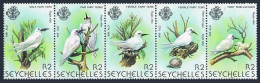 Seychelles 468 Ae,MNH.Michel 478-482. Birds 1981.Fairy Tern - Gigis Alba. - Seychellen (1976-...)