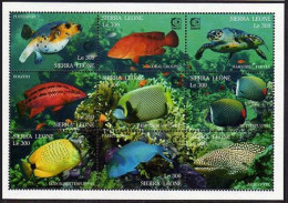 Sierra Leone 1799 Ai Sheet, MNH. SINGAPORE-1995. Marine Life. Fish, Turtle. - Sierra Leona (1961-...)