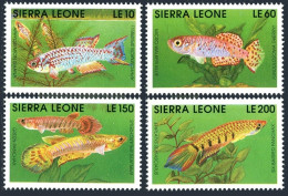 Sierra Leone 13555-1358-2360-1361, MNH. Michel 1631-1638. Fish 1991. - Sierra Leona (1961-...)