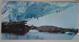 Carte Postale - Croisières Vers L'Antarctique Argentin. - Argentine