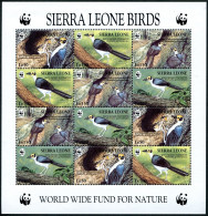 Sierra Leone 1738 Sheet, MNH. WWF 1994. Birds White-necked Picathartes. - Sierra Leona (1961-...)