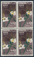 Somalia 201 Block/4, MNH. Michel 300. Flowers 1955. Poinciana Elata. - Somalië (1960-...)