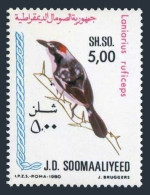 Somalia 493, MNH. Michel 296. Birds 1980. Laniarius Ruficeps. - Somalie (1960-...)