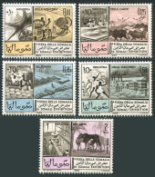 Somalia 279-281, C101-C102, MNH. Michel 74-78. Tanning, Meat-cattle, Fish, 1965. - Somalia (1960-...)