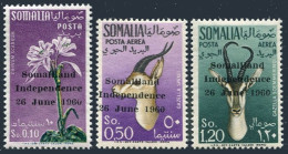 Somalia 242,C68-69, MNH. Michel 1-3. Independence, 1960. Antelopes, Flowers. - Somalië (1960-...)