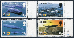 St Helena 813-816, MNH. WWF 2002. Sperm Whales. - Isla Sta Helena