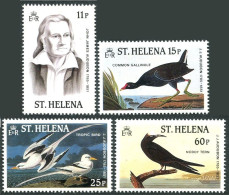 St Helena 438-441, MNH. Mi 428-431. John Audubon's Birds, 1985. Gallinule, Noddy - St. Helena