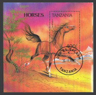 Tanzania 1159,CTO.Michel 1684 Bl.235. Horses 1993. - Tansania (1964-...)