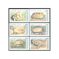 Togo 1790-1795,1795A,MNH. Turtles 1996. - Togo (1960-...)