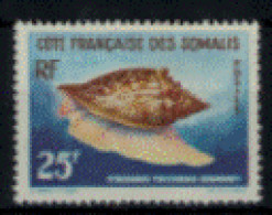 France - Somalies - "Coquillage De La Mer Rouge : Strombus" - Neuf 1* N° 313 De 1962 - Nuevos