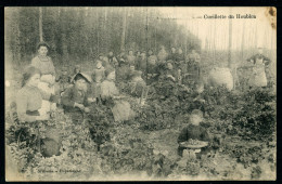 Carte Postale - Belgique - Poperinghe - Cueillette Du Houblon (CP24778) - Poperinge