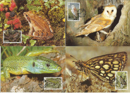 CM Jersey/WWF Protected Butterfly 1989 Frog Green Lizard Barn Owl - Cartoline Maximum