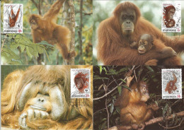 CM Indonesia/WWF Protected Orangutan 1990 - Monkeys