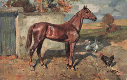 C758 FANTAISIE Cheval - Horses