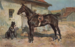 C763 FANTAISIE Cheval - Horses