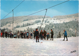 GÉRARDMER - Le Petit Remonte-pente - Gerardmer