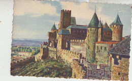 Carcassonne  11  Belle Carte Non Circulée La Cité _Le Chateau Comtal En Couleurs - Carcassonne