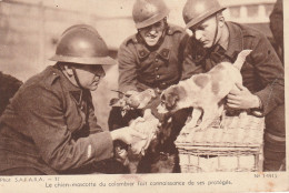 Photo France Press No.14915 - Guerre 1939-45
