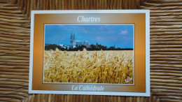 Chartres , La Cathédrale - Chartres