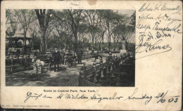 11038114 New_York_City Central Park Kutsche  - Otros & Sin Clasificación