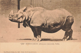 C787 FANTAISIE Rhinocéros - Rinoceronte