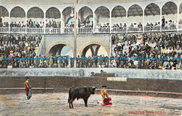 R055035 Teasing The Bull. Adolph Selige - Monde