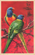 C792 FANTAISIE Perroquets - Oiseaux