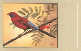 C801 FANTAISIE Oiseaux - Birds
