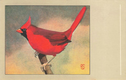 C803 FANTAISIE Oiseaux - Birds