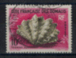 France - Somalies - "Coquillage De La Mer Rouge : Tridacna" - Oblitéré N° 312 De 1962 - Gebraucht