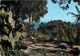 Espagne - Espana - Cataluna - Costa Brava - Blanes - Fundacion Carlos Faust - Jardin Botanico Mar I Murtra - Cactus - CP - Gerona