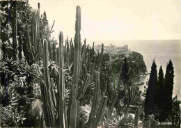 Fleurs - Plantes - Cactus - Principauté De Monaco - Le Jardin Exotique - Vue Sur Le Rocher De Monaco - Carte Dentelée -  - Sukkulenten