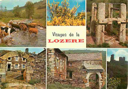 48 - Lozère - Multivues - Vaches - CPM - Voir Scans Recto-Verso - Other & Unclassified
