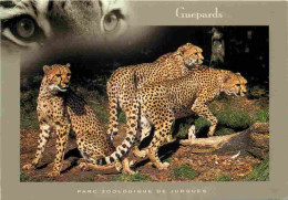 Animaux - Fauves - Guépard - Parc Zoologique De Jurques - Cheetah - Zoo - CPM - Carte Neuve - Voir Scans Recto-Verso - Other & Unclassified