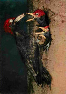 Animaux - Oiseaux - Pic Noir - Nid - Oisillons - Carte Neuve - CPM - Voir Scans Recto-Verso - Birds