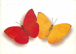 Animaux - Papillons - Voir Timbre De Belgique - CPM - Voir Scans Recto-Verso - Vlinders