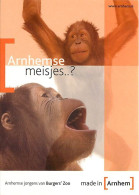 Animaux - Singes - Pays Bas - Nederland - Arnhem - Burgers'zoo - Multivues - Orang-Outan - Carte Neuve - CPM - Voir Scan - Affen