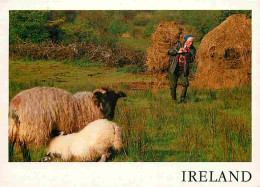 Animaux - Moutons - Ireland - CPM - Voir Scans Recto-Verso - Autres & Non Classés