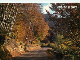 31 - Haute Garonne - Col De Menté - CPM - Voir Scans Recto-Verso - Otros & Sin Clasificación