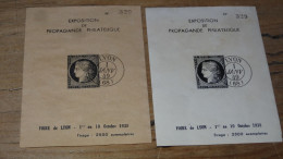 2 Blocs-feuillets De L'exposition De Propagande Philatélique, Foire  Lyon Octobre 1938 (2500 Ex)................ 19255 - Autres & Non Classés