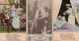 Belgian Belgium Soliders Fund Official 1916 Souvenir Edith Cavell Postcard & More - Croix-Rouge