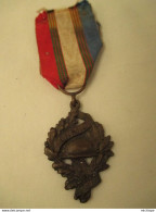 Medaille    A Déterminer - Andere & Zonder Classificatie