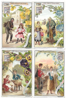 S 563, Liebig 6 Cards, Blumensprache IV (GERMAN) (ref B12) - Liebig