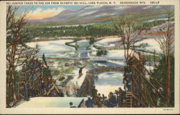 11028788 Adirondack Ski Jumper  - Altri & Non Classificati