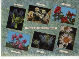 Fleurs De Nos Montagnes Gentiane,edelweiss,rhododendron,cyclamen,chardon Bleu,chardon Blanc,anneaux Olympiques Obliterai - Blumen