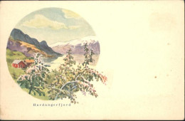 11028359 Hardangerfjord   - Norvège